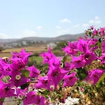 Swiss 3* Naousa