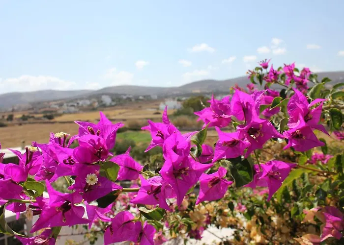 Swiss 3* Naousa (Paros)