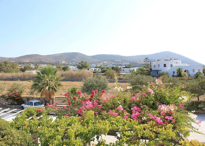 Swiss 3* Naousa (Paros)