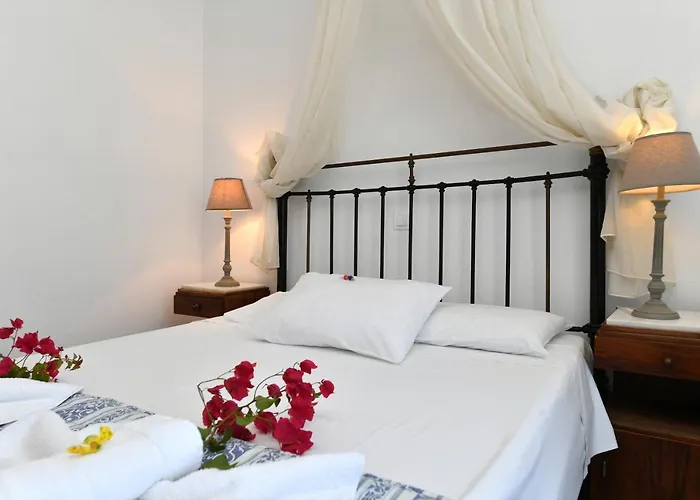 Swiss Naousa (Paros)